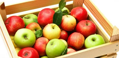 Illustration holds - Image 1