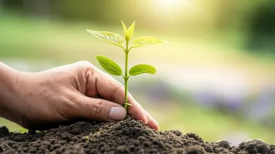 Illustration moulded - Image 1