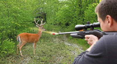 Illustration dart - Image 1