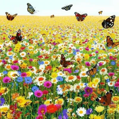 Illustration rife - Image 1