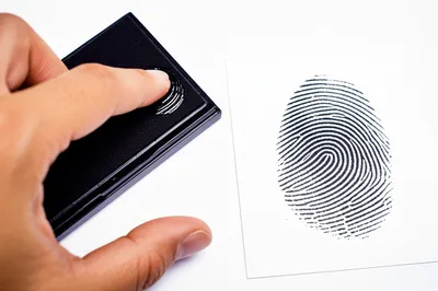 Hình ảnh minh họa fingerprint - Ảnh 1