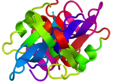 Illustration meanders - Image 1