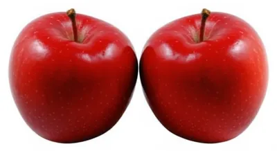 Illustration identical - Image 1