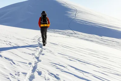 Illustration tract - Image 1