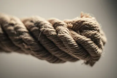 Illustration lay - Image 1