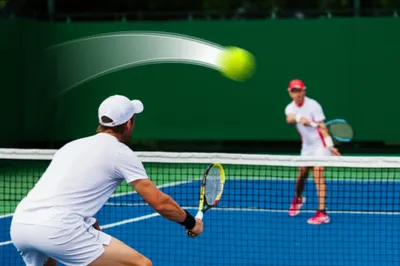 Illustration lob - Image 1