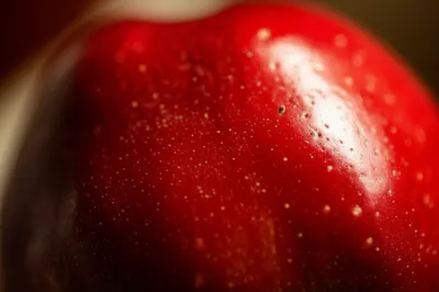 Illustration pricked - Image 1