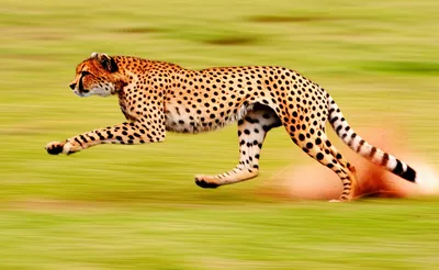 Illustration makes - Image 1