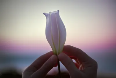 Illustration made - Image 1