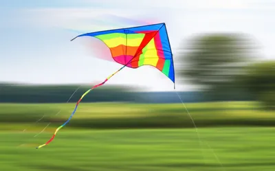 Illustration whiffle - Image 1