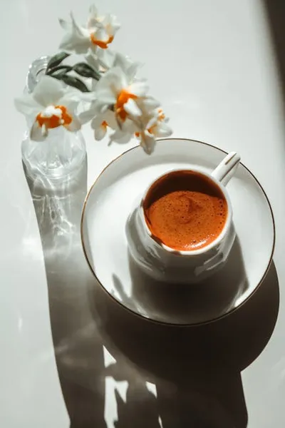 Illustration crema - Image 2
