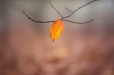 Illustration sliding - Image 1