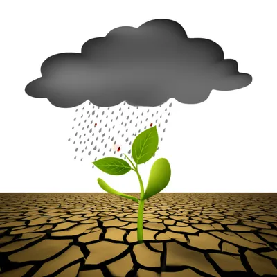 Illustration caution - Image 1