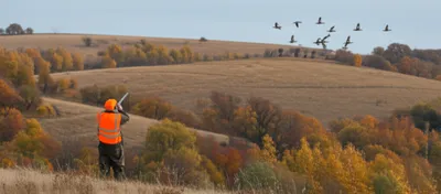 Illustration shootings - Image 1