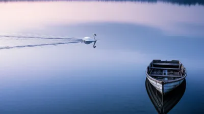 Illustration settling - Image 1