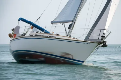 Illustration trimming - Image 1