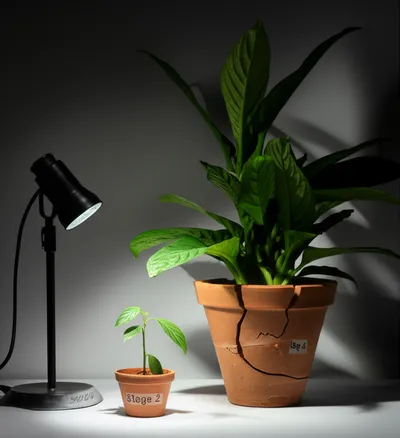 Illustration upstage - Image 1