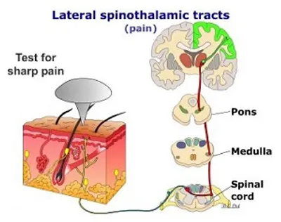 Illustration tract - Image 2