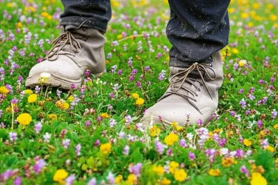 Illustration trample - Image 1