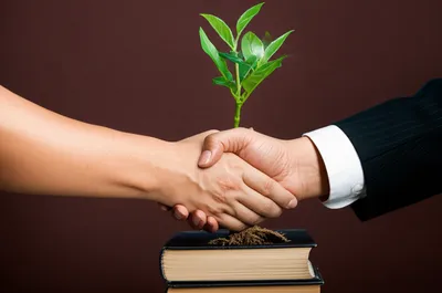 Illustration contracts - Image 1