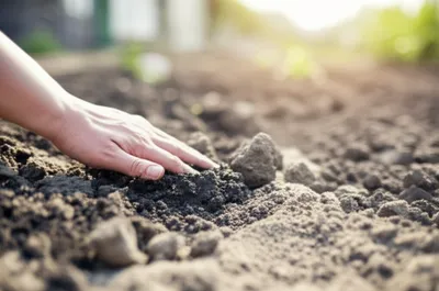 Illustration damper - Image 1