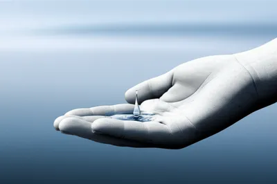 Illustration rest - Image 1