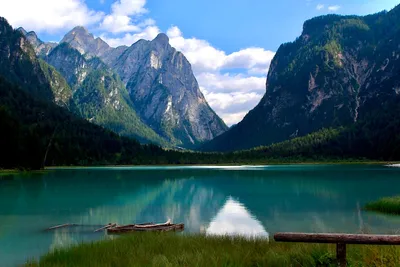 Illustration sees - Image 2