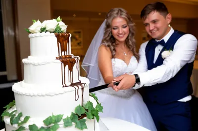 Illustration adulterate - Image 1