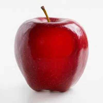 Illustration pat - Image 1