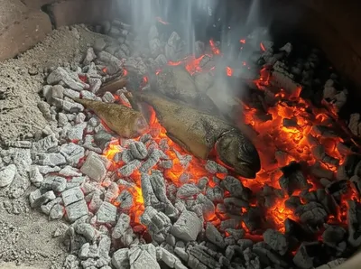 Illustration roasting - Image 1