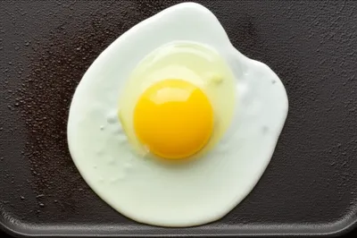 Illustration teflon - Image 1