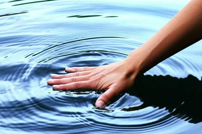 Illustration arrests - Image 1