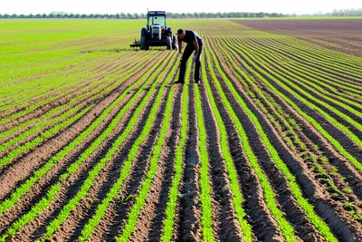 Illustration tillage - Image 1