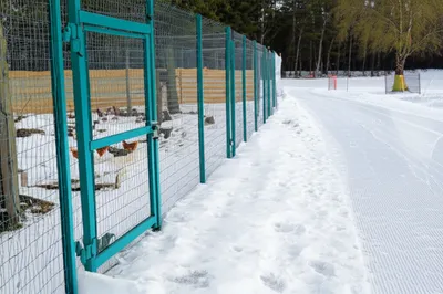 Illustration runs - Image 1