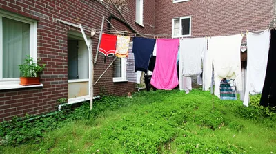 Illustration yards - Image 1