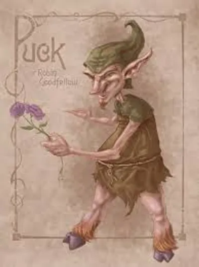 Illustration puck - Image 2