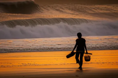 Illustration beachcomber - Image 1