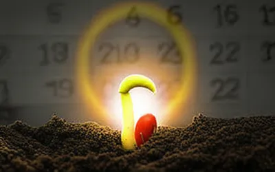 Illustration deferred - Image 1