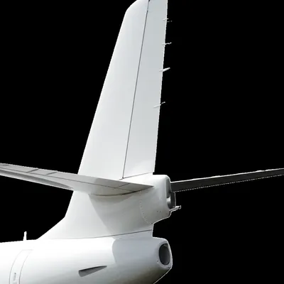 Illustration tail - Image 1