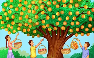 Illustration availed - Image 1