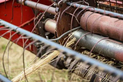 Illustration billhook - Image 1