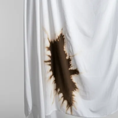 Illustration taints - Image 1