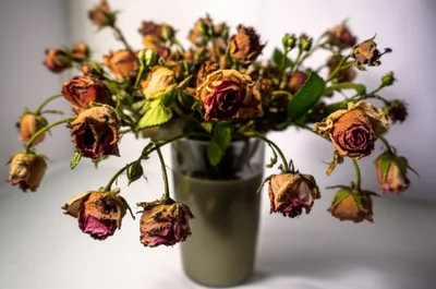 Illustration sickening - Image 1