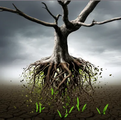 Illustration eradication