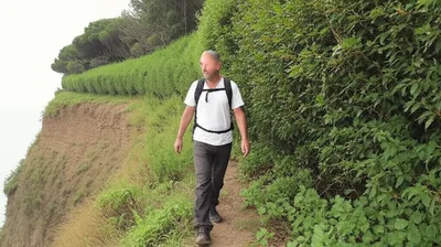 Illustration hedges - Image 1