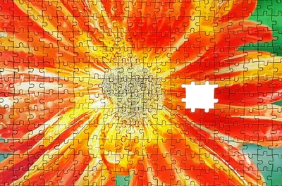 Illustration complements - Image 1