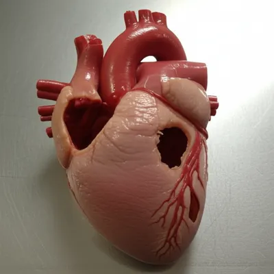 Illustration gutted - Image 1