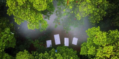 Illustration fog - Image 1