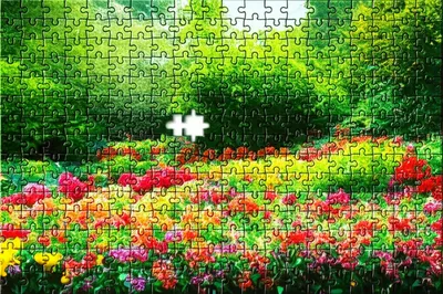 Illustration complementing