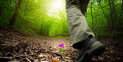 Illustration lighting - Image 1